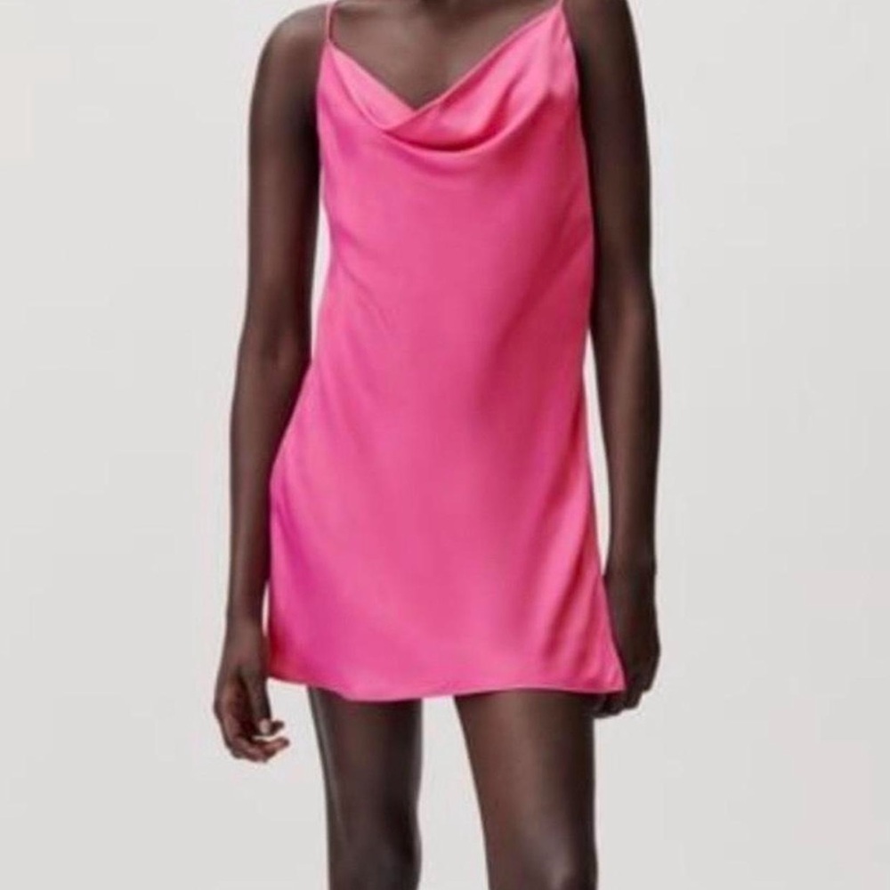 Zara Pink Dress